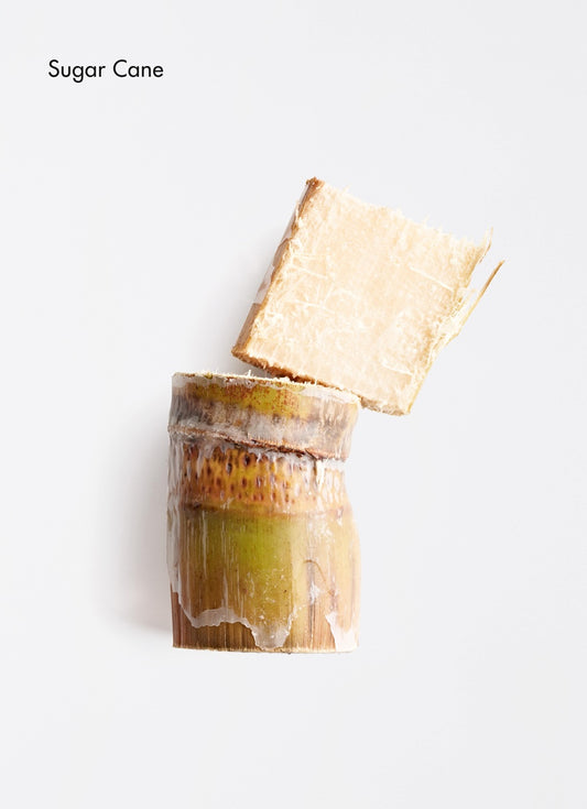 Clarifying Fruit Exfoliant