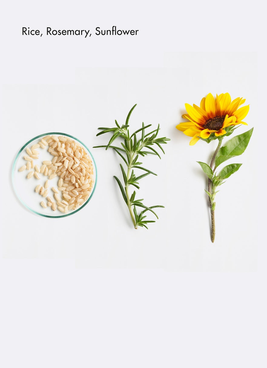 Clarifying Balance Cream