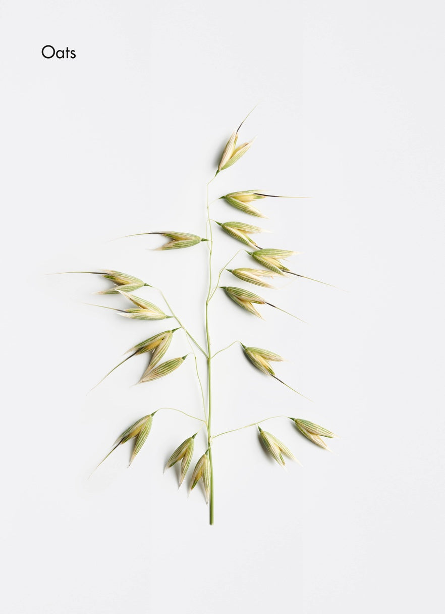 Comforting Micellar Cleansing Milk
