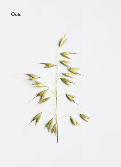 Comforting Micellar Cleansing Milk