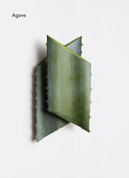 Dermosthétique Agave Inulin Lifting Concentrate