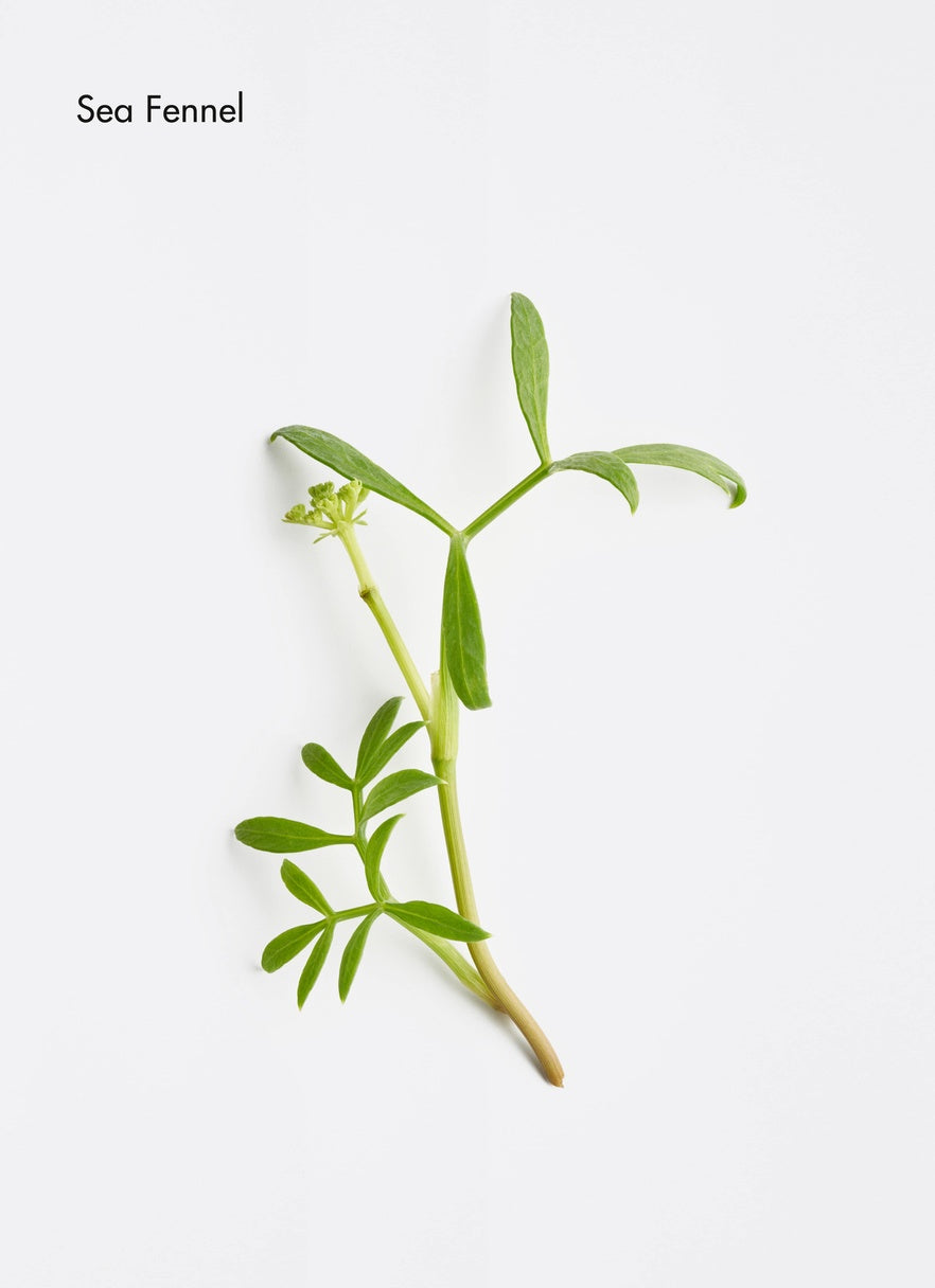 Dermosthétique Hyaluronic Acid Hydrating Capsules