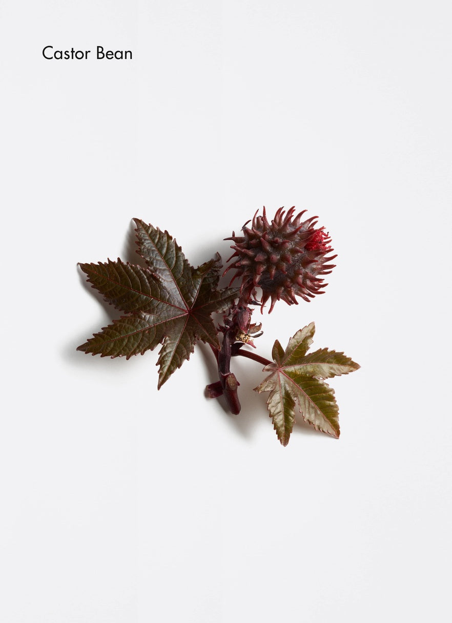 Dermosthétique Redefining Lip Balm
