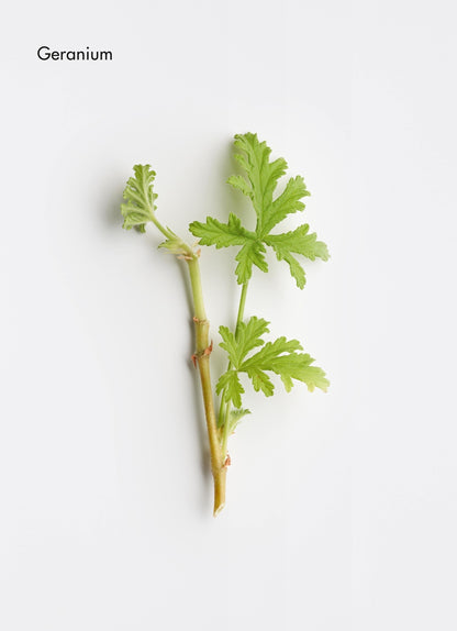 Revitalising Aroma Complex