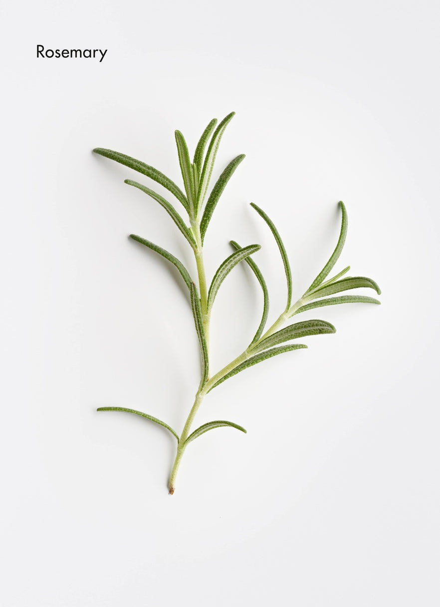 Revitalising Aroma Complex