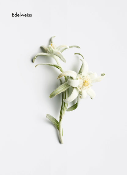 Revitalising Hydro Cream